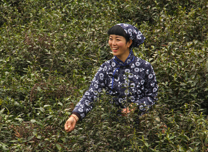 183间房主播跳舞 影视3